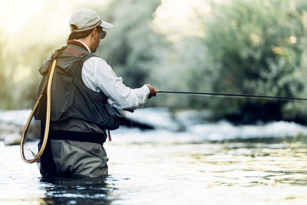 river flyfishing for trout near asheville, nc
